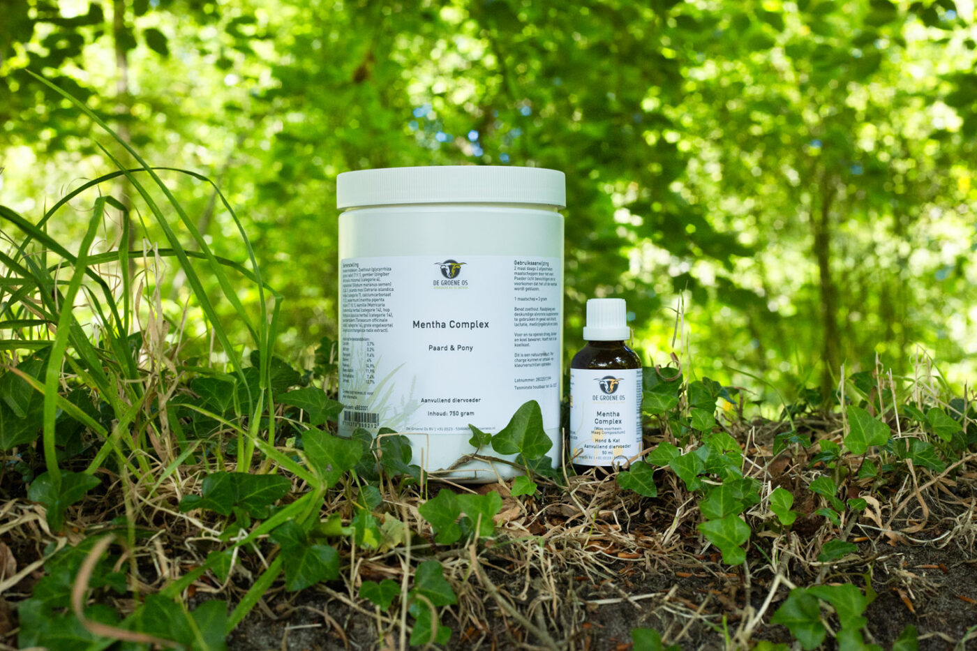 Mentha Complex
