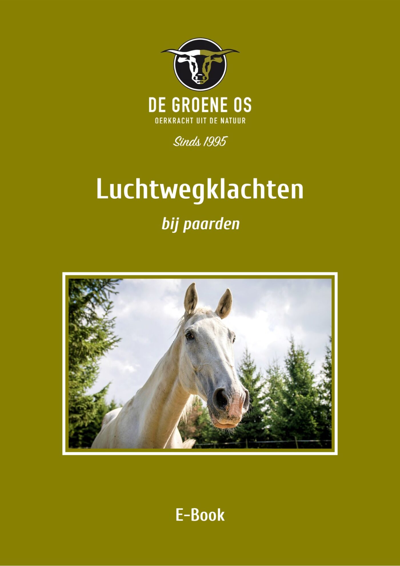 e-book luchtwegklachten