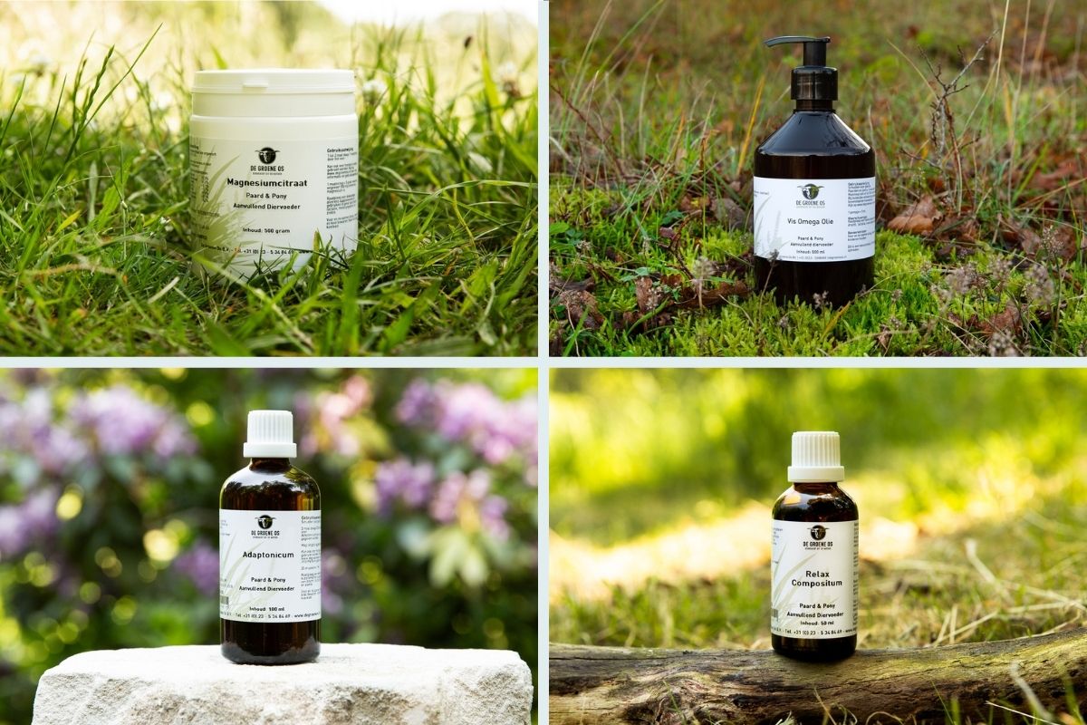 vuurwerkstress paard