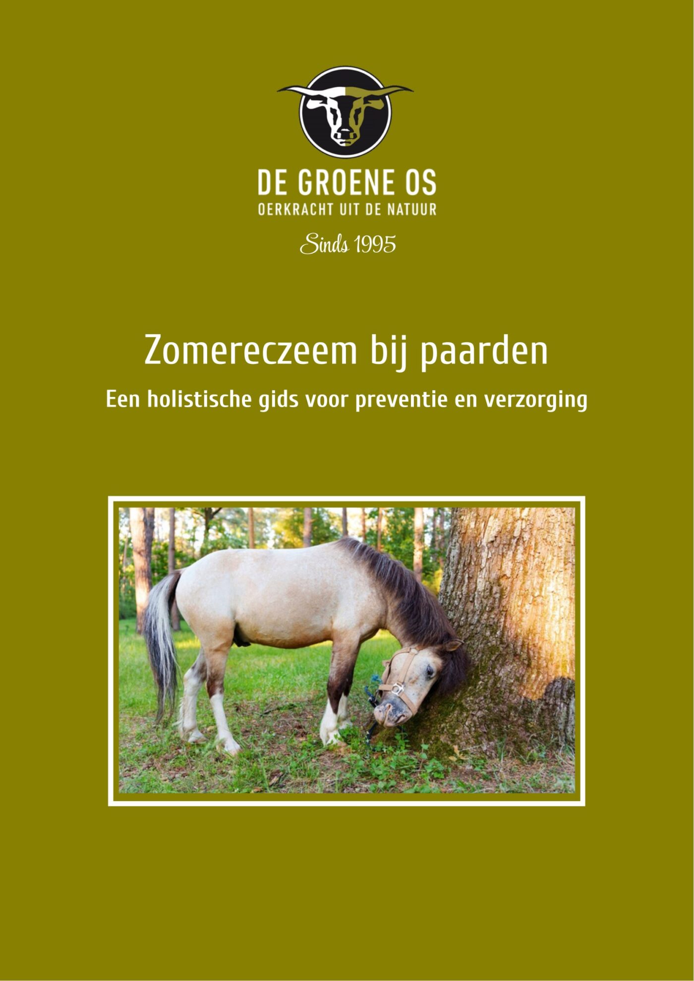 e-book zomereczeem