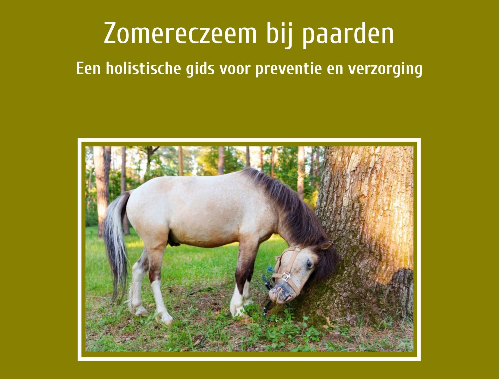 zomereczeem