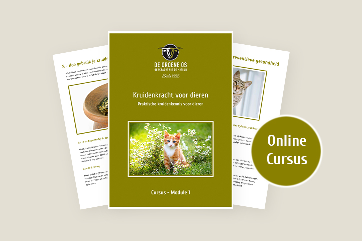 kruidenkracht voor dieren