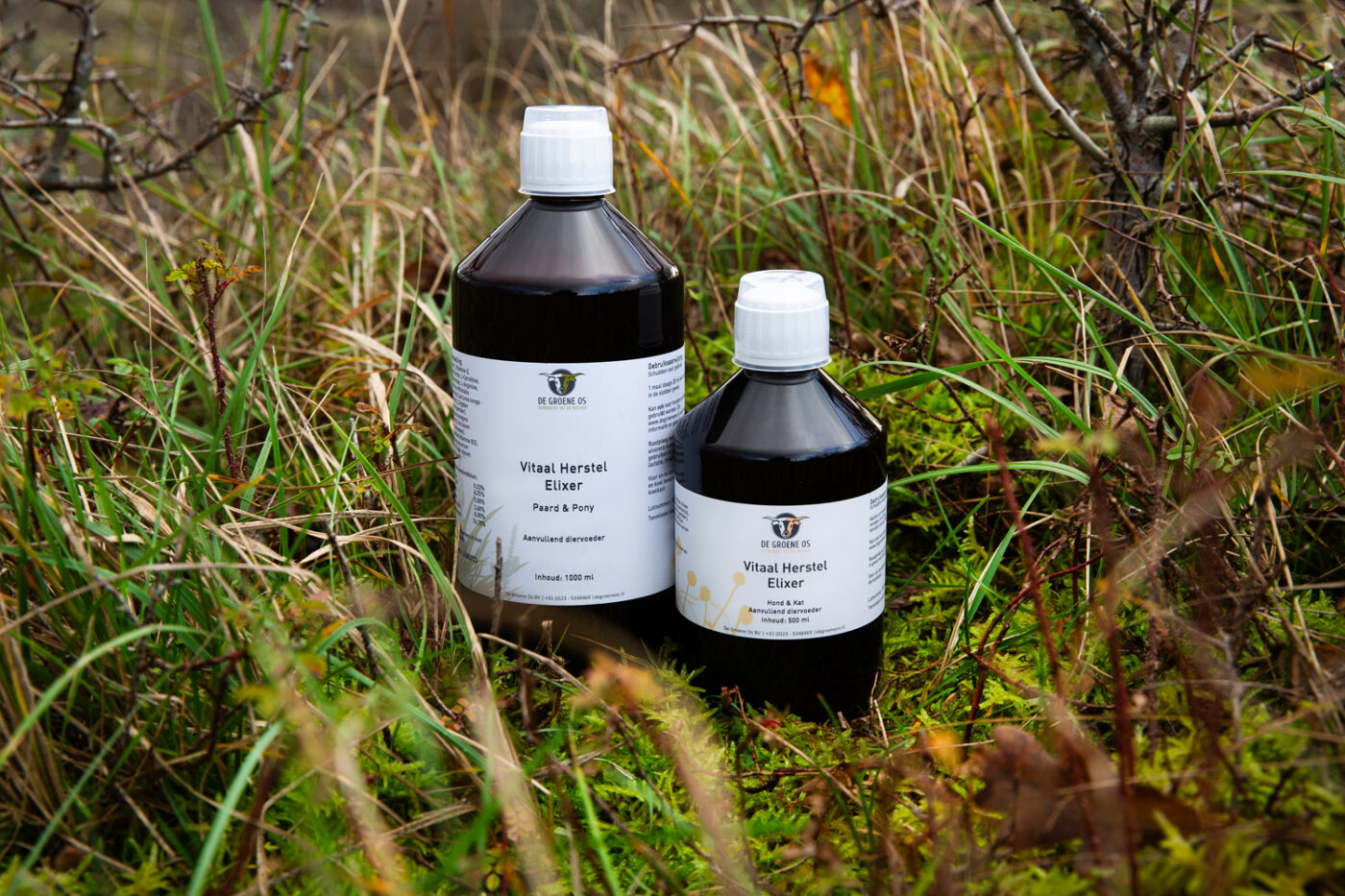 vitaal herstel elixir
