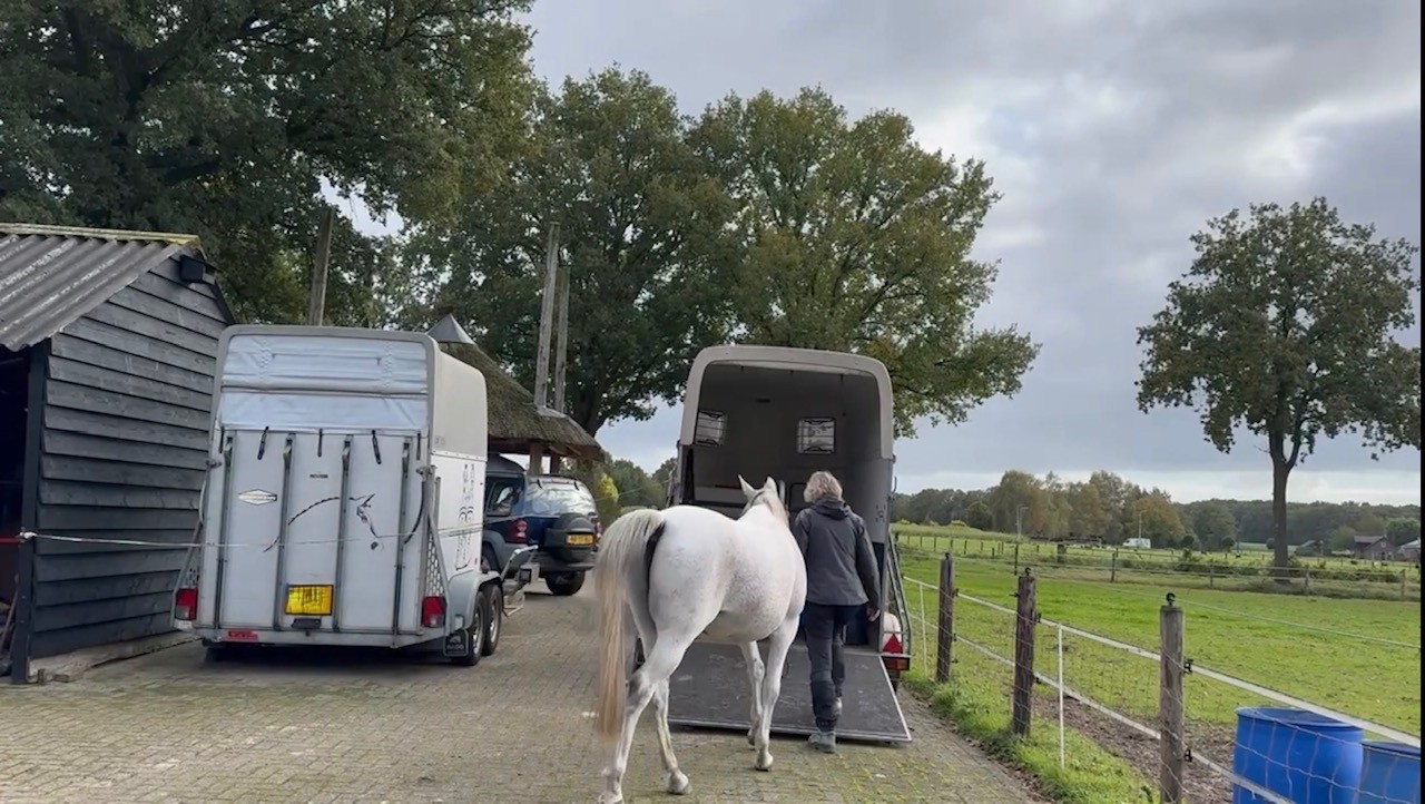 op reis met je paard
