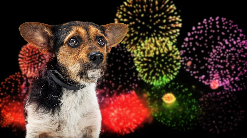 vuurwerk